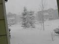 Snow in Calgary
