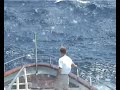 Wave