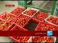 AR NW BIO PEKIN 2108 AR NW BIO PEKIN 2108