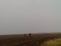 ktm exc 125 yamaha yz 125 husqvarna sm 125