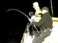 Bluefin Tuna 300kg ???????