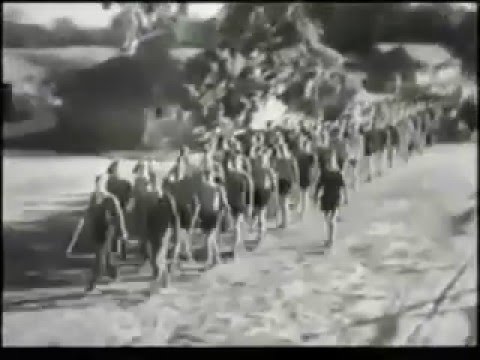 Омладинска радна акција у Недићевој Србији (1943)