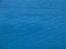Golfinhos rotadores em Fernando de Noronha