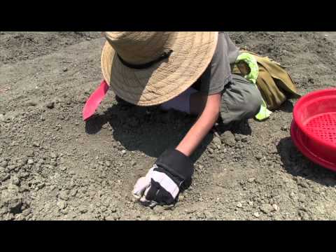 how to locate diamonds