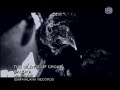 the silence of the crows
