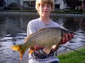 Carp Fishing in 2008 Part VII Carp Fishing in 2008 Part VII