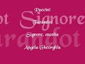 puccini   turandot   signore ascolta   gheorghiu
