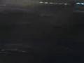 videos de Los videos mas boludos de la Fc