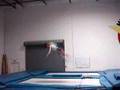 TRICKS AND TUMBLES REMIX 2006