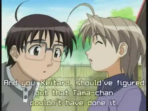 love hina