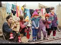 Hamsi balık mısır mizah özgün Şahturna Karadeniz mizah Ozan Şiar aşka sürgün avrupa yakası yaprak dökümü karayılan kavak yelleri genco mazlum ozan şiar livaneli Şahturna şener şen ilyas salman metin akpınar özgün mizah genco erkal trabzon rize ordu fatsa samsun giresun harun karadeniz mavi deniz gökyüzü sinop nihat yılmaz özgürlük pirsultan susurluk kamyon düzene çarptı cunta 12 eylül 80 68 kusagı 78 lıler vakfı