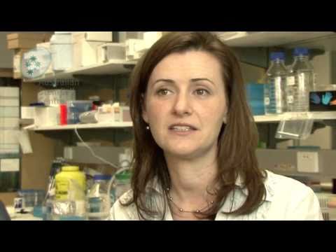 Clinical trials and stem cells: what patients should consider