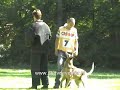 Keuring Doerak - Schijn aanval