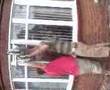 videos de t leaf