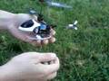 Walkera 5G6 Outdoor with 4#3 motors