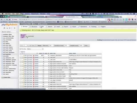 how to query wordpress database