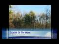 Randy Lott- Depths Of The World: bass guitar improvisation