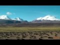 Bolivia - La Paz to Chile Border via Sajama National ...