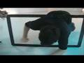 videos de Philips Flavors black night