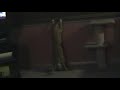 Cat goes crazy over laser pointer
