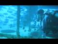 buceo en c-58 con ferreiro