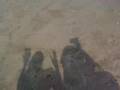 SEXXi NiC0lE && bARBiE ELLA aT j0NES BEACh *
