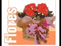 http://www.guiapresidenteprudente.com.br/empresas/florexotica-floricultura/FlorexóticaFloriculturacomércio de floresarranjos de floresflores naturaisflores artificiaisdecoração de igrejasdecoração de festasdecoração de eventoscestas de café da manhãcestas de café da tardecestas de vinhoscestas de aniversáriocestas de presentes com florescoroas para funeralarranjosPresidente Prudente