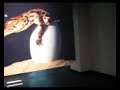 Frans Lanting, LIFE. Un viaggio attraverso il tempo - FdS 07