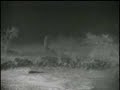 Hyena Vs Buffalos at Gowie