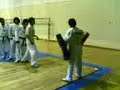 taekwondo vpa 2 taekwondo vpa 2