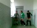 videos de la yegua.