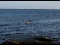 The Isle of arran ~scotlands best kept secret~ (nov 2008)