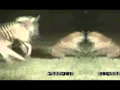 pusher love girl pusher love girl