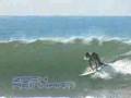 Gravity Skateboards - Flow - Surfers - Ch. 8