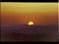 The Warmth Of The Sun