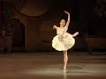 Nutcracker