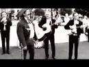 fight song (for the desalojos)