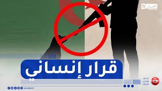 وقف إبادة الحيوانات الضالة..خطوة إنسانية أم خطر على الأمن الصحي و السكاني؟