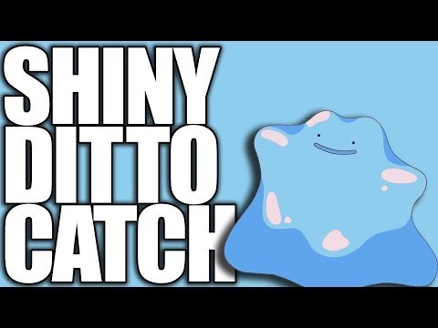 how to find ditto in pokemon x