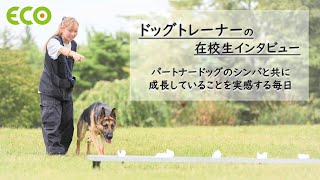 北海道エコ　Youtube Pickup!