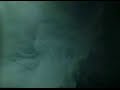 Flex-AphexTwin (by Chris Cunningham) [Exerpt]
