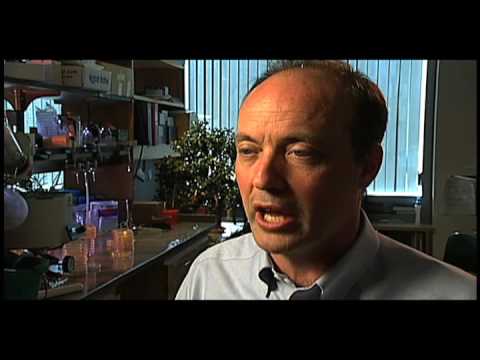 how to isolate rhodococcus