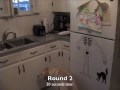 Tillie the Labrador