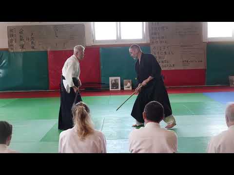 33 202604 SUGA Vire Armes Kumitachi