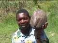 Abricots - Haiti