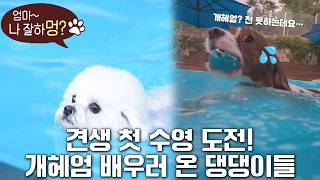 전국시대