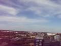 videos de bush gardens 09