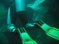 What we SEE when we are down there at 30 - 40 Meters