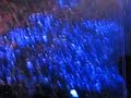Junge 16.12.2007 D�sseldorf Es wird Eng