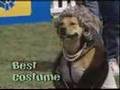 Nuts for Mutts Promo Video